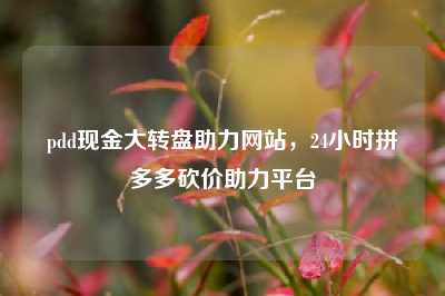 pdd现金大转盘助力网站,24小时拼多多砍价助力平台