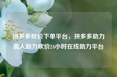 拼多多砍价下单平台，拼多多助力真人助力砍价24小时在线助力平台