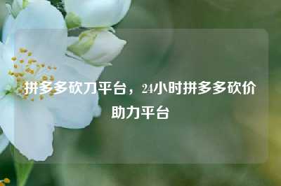 拼多多砍刀平台,24小时拼多多砍价助力平台