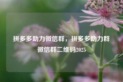 拼多多助力微信群,拼多多助力群微信群二维码2025