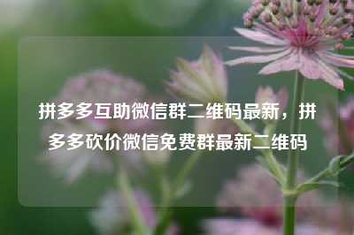 拼多多互助微信群二维码最新,拼多多砍价微信免费群最新二维码