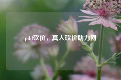 pdd砍价,真人砍价助力网