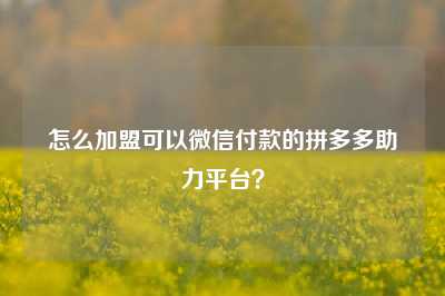 怎么加盟可以微信付款的拼多多助力平台?