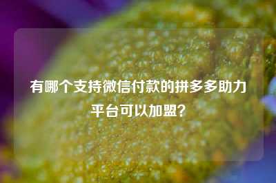 有哪个支持微信付款的拼多多助力平台可以加盟?