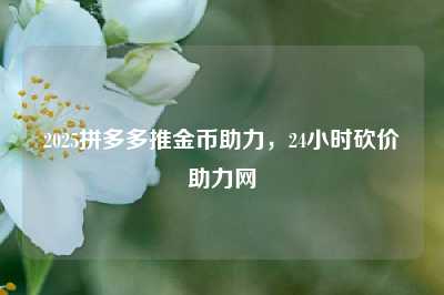 2025拼多多推金币助力,24小时砍价助力网