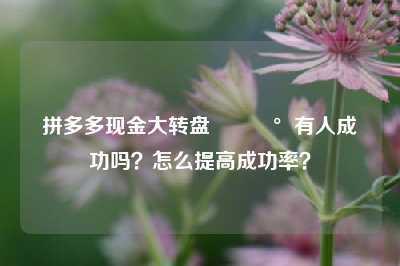 拼多多现金大转盘💰有人成功吗?怎么提高成功率?