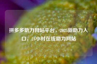 拼多多助力网站平台,2025新助力入口,24小时在线助力网站