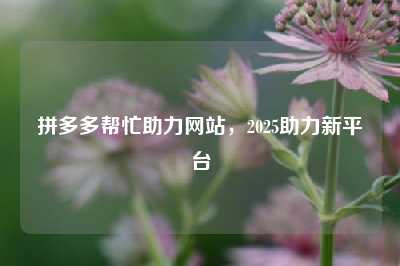拼多多帮忙助力网站,2025助力新平台