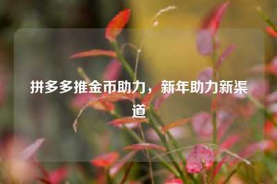 拼多多推金币助力,新年助力新渠道