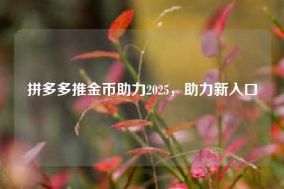 拼多多推金币助力2025,助力新入口