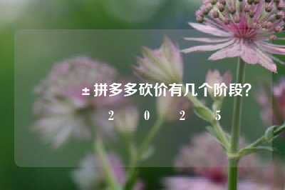 📱拼多多砍价有几个阶段?💕2️⃣0️⃣2️⃣5️⃣