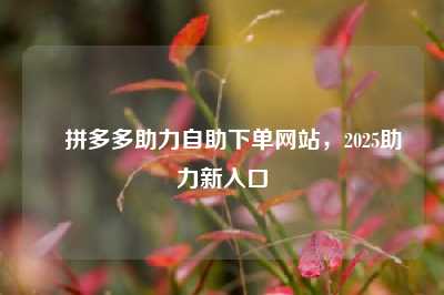 ✅拼多多助力自助下单网站,2025助力新入口