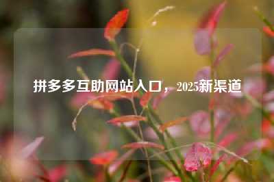 拼多多互助网站入口,2025新渠道