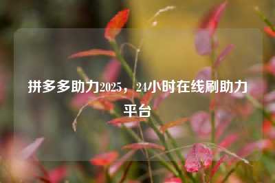 拼多多助力2025,24小时在线刷助力平台
