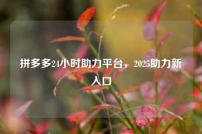 拼多多24小时助力平台,2025助力新入口