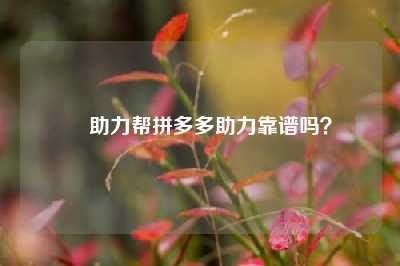 ❓助力帮拼多多助力靠谱吗?🔗