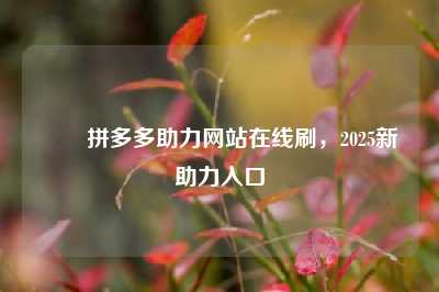 ✅✅拼多多助力网站在线刷,2025新助力入口