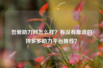 吾爱助力网怎么样?有没有靠谱的拼多多助力平台推荐?