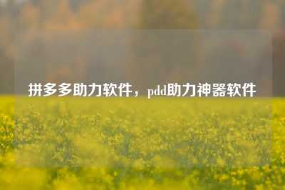 拼多多助力软件,pdd助力神器软件