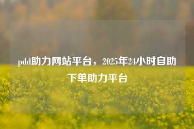 pdd助力网站平台，2025年24小时自助下单助力平台