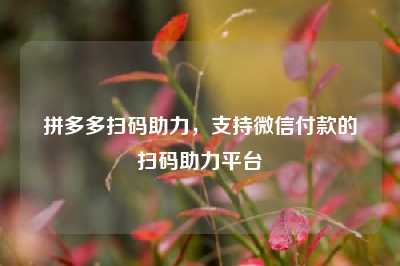 拼多多扫码助力,支持微信付款的扫码助力平台