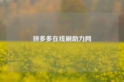拼多多在线刷助力网