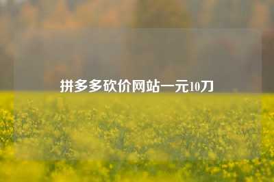 拼多多砍价网站一元10刀