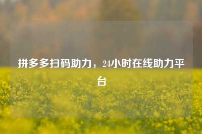 拼多多扫码助力,24小时在线助力平台