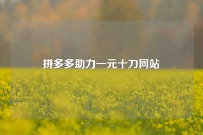 拼多多助力一元十刀网站