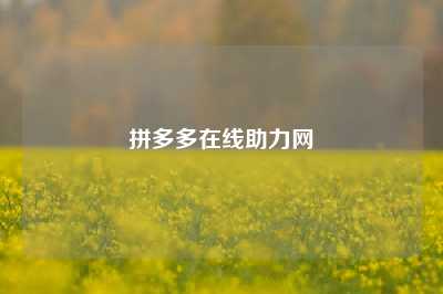 拼多多在线助力网