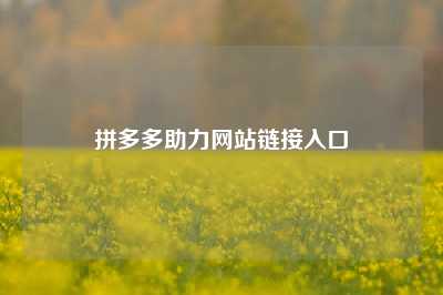 拼多多助力网站链接入口