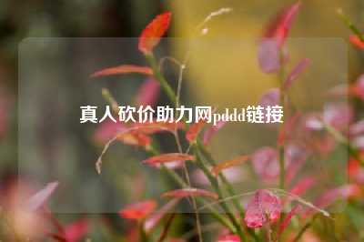 真人砍价助力网pddd链接
