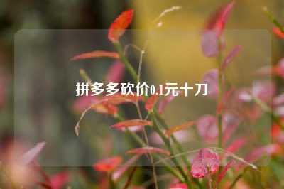 拼多多砍价0.1元十刀