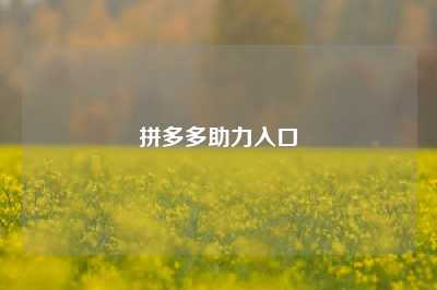 拼多多助力入口