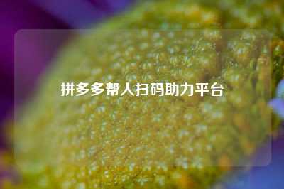 拼多多帮人扫码助力平台