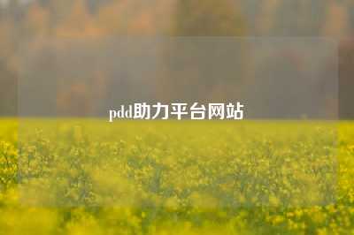 pdd助力平台网站