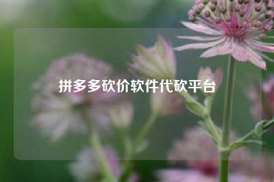 拼多多砍价软件代砍平台