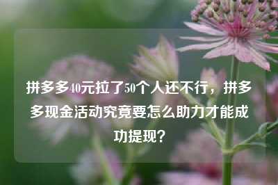 拼多多40元拉了50个人还不行,拼多多现金活动究竟要怎么助力才能成功提现?