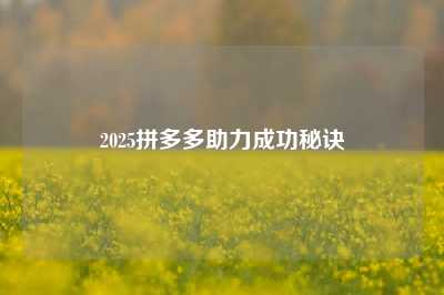 2025拼多多助力成功秘诀
