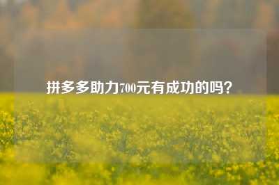 拼多多助力700元有成功的吗？