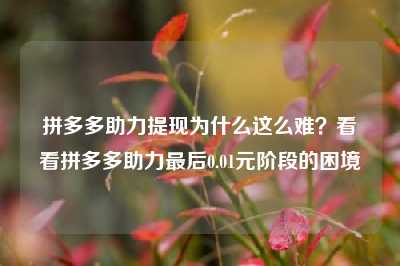 拼多多助力提现为什么这么难?看看拼多多助力最后0.01元阶段的困境