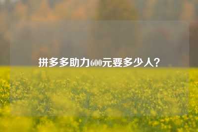 拼多多助力600元要多少人?