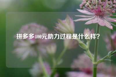 拼多多400元助力过程是什么样？