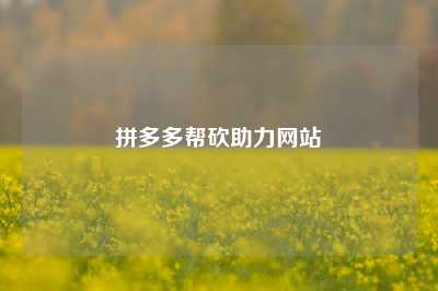 拼多多帮砍助力网站