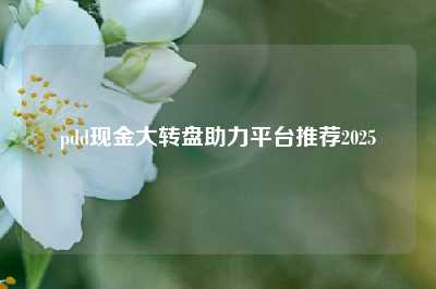 pdd现金大转盘助力平台推荐2025