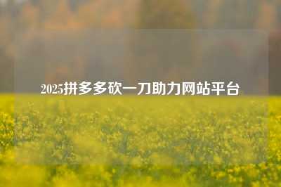 2025拼多多砍一刀助力网站平台
