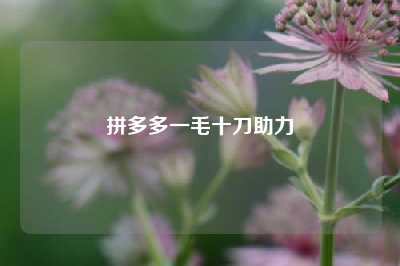 拼多多一毛十刀助力