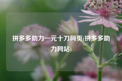 拼多多助力一元十刀网页(拼多多助力网站)