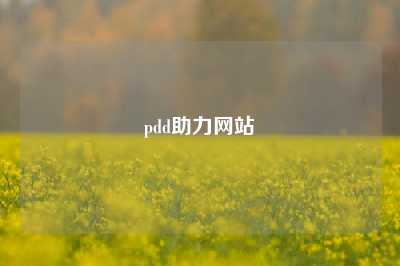 pdd助力网站