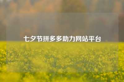 七夕节拼多多助力网站平台